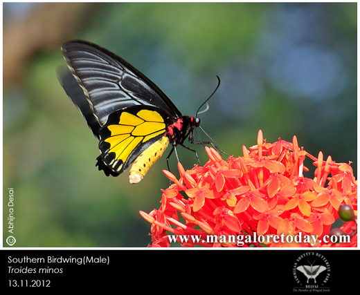 butterfly park belvai, Mangalore